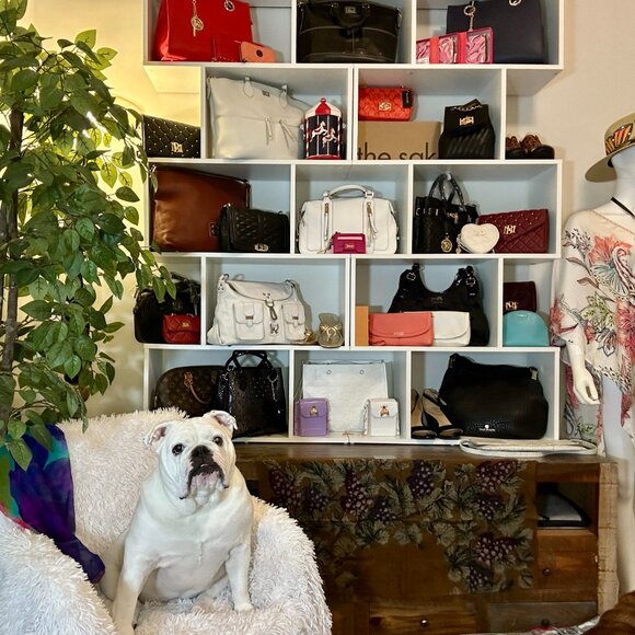 Meet your Posher, Bella - Picture 2 of 7